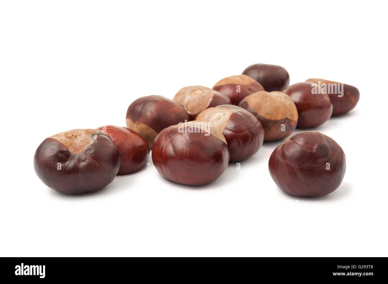 Group of wild chestnuts isolated on white background Stock Photo - Alamy