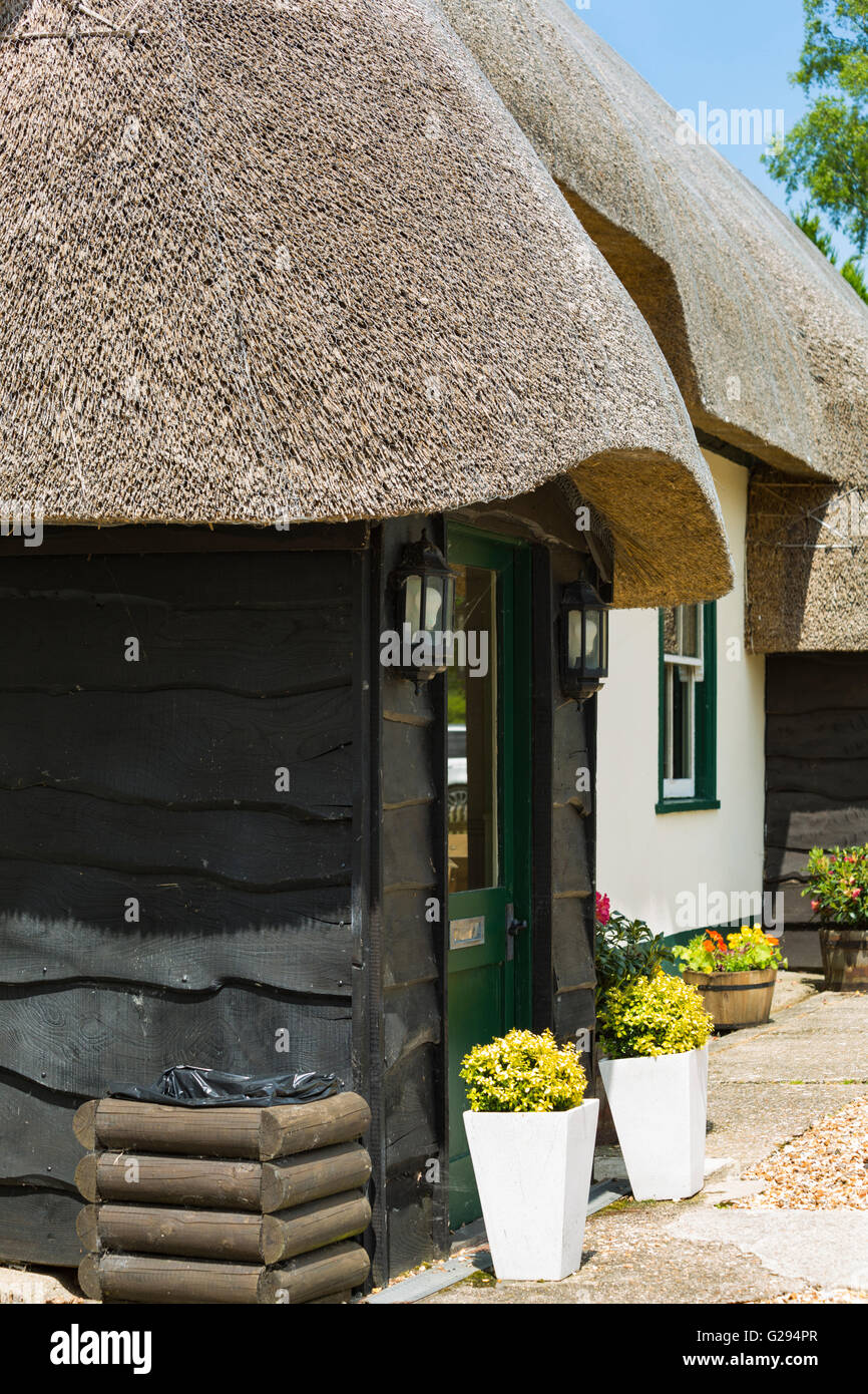 Thatched Royal Oak Pub at North Gorley in the New Forest National Park in May Stock Photo