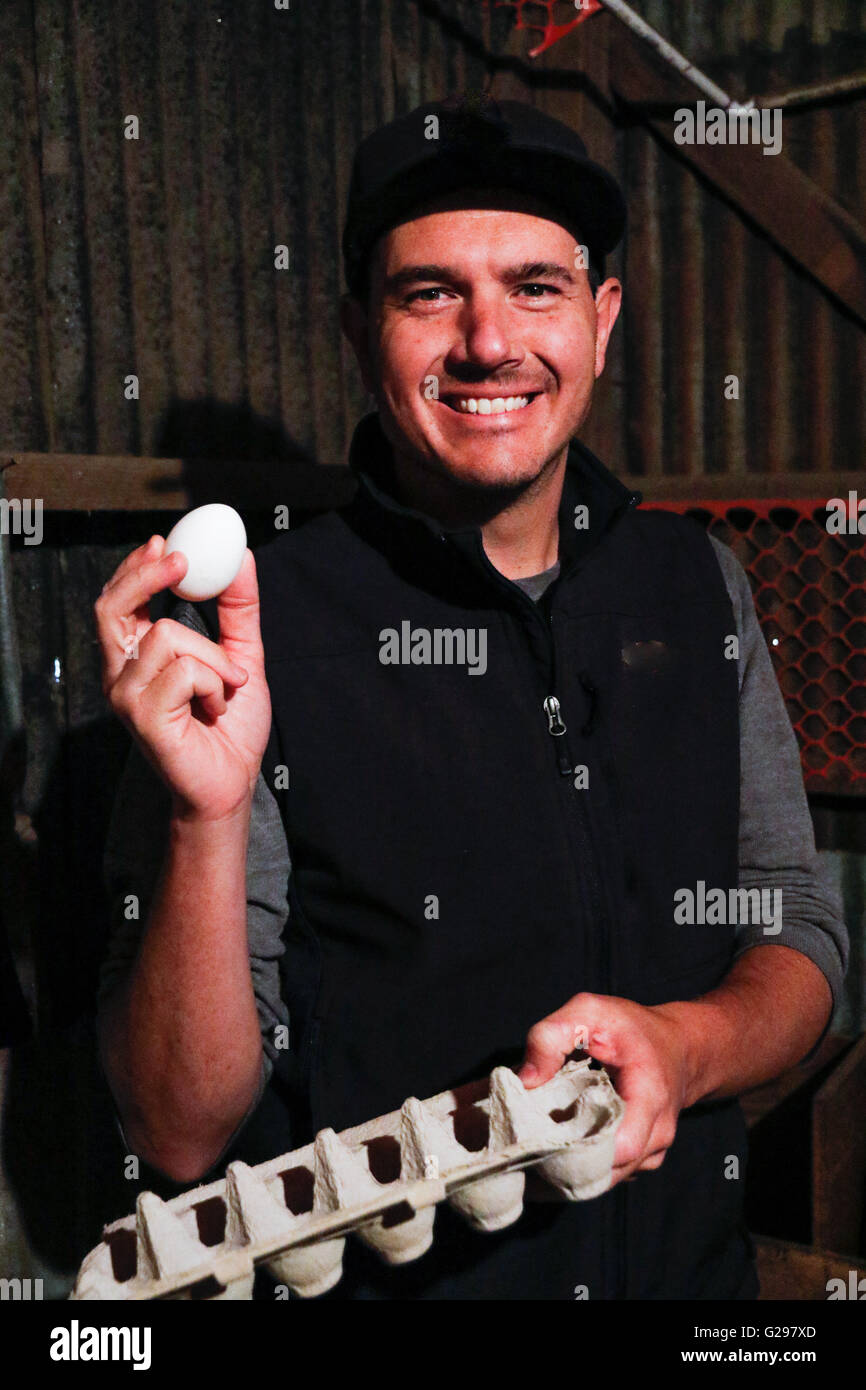 Young man holding a carton of eggs Stock Photo