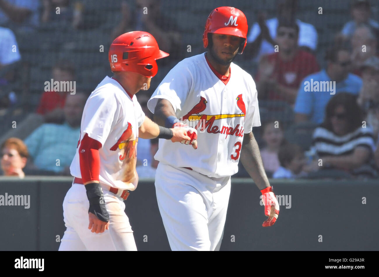 Memphis redbirds hires stock photography and images Alamy