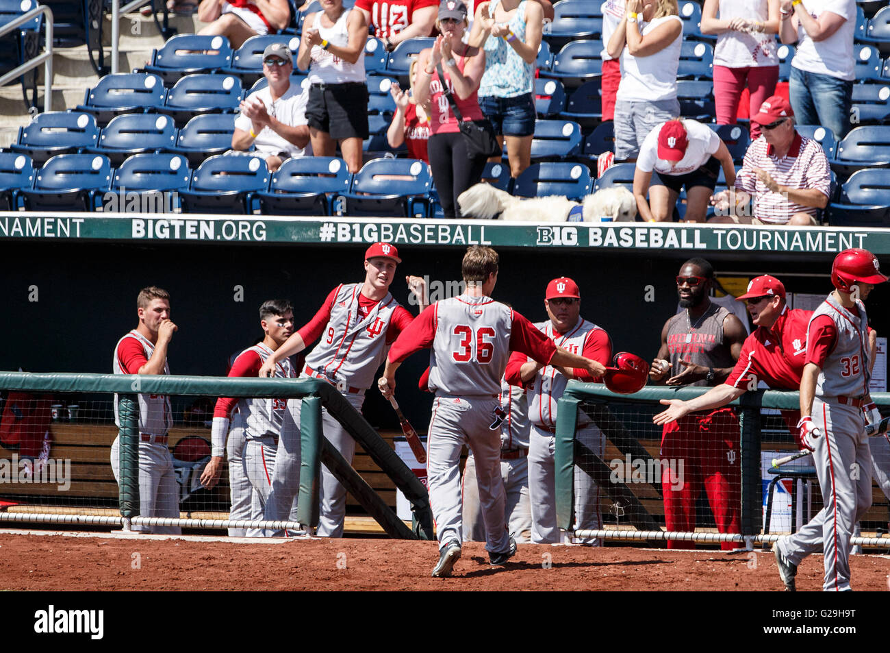Omaha, NE. 26th May, 2016. U.S. - Indiana infielder Colby Stratten #36 is congratulated by teammates after scoring in action during game 2 of the Big Ten Championship Tournament between Indiana Hoosiers and Nebraska Cornhuskers at TD Ameritrade Park in Omaha, NE.Indiana won 6-2.Michael Spomer/Cal Sport Media. © csm/Alamy Live News Stock Photo