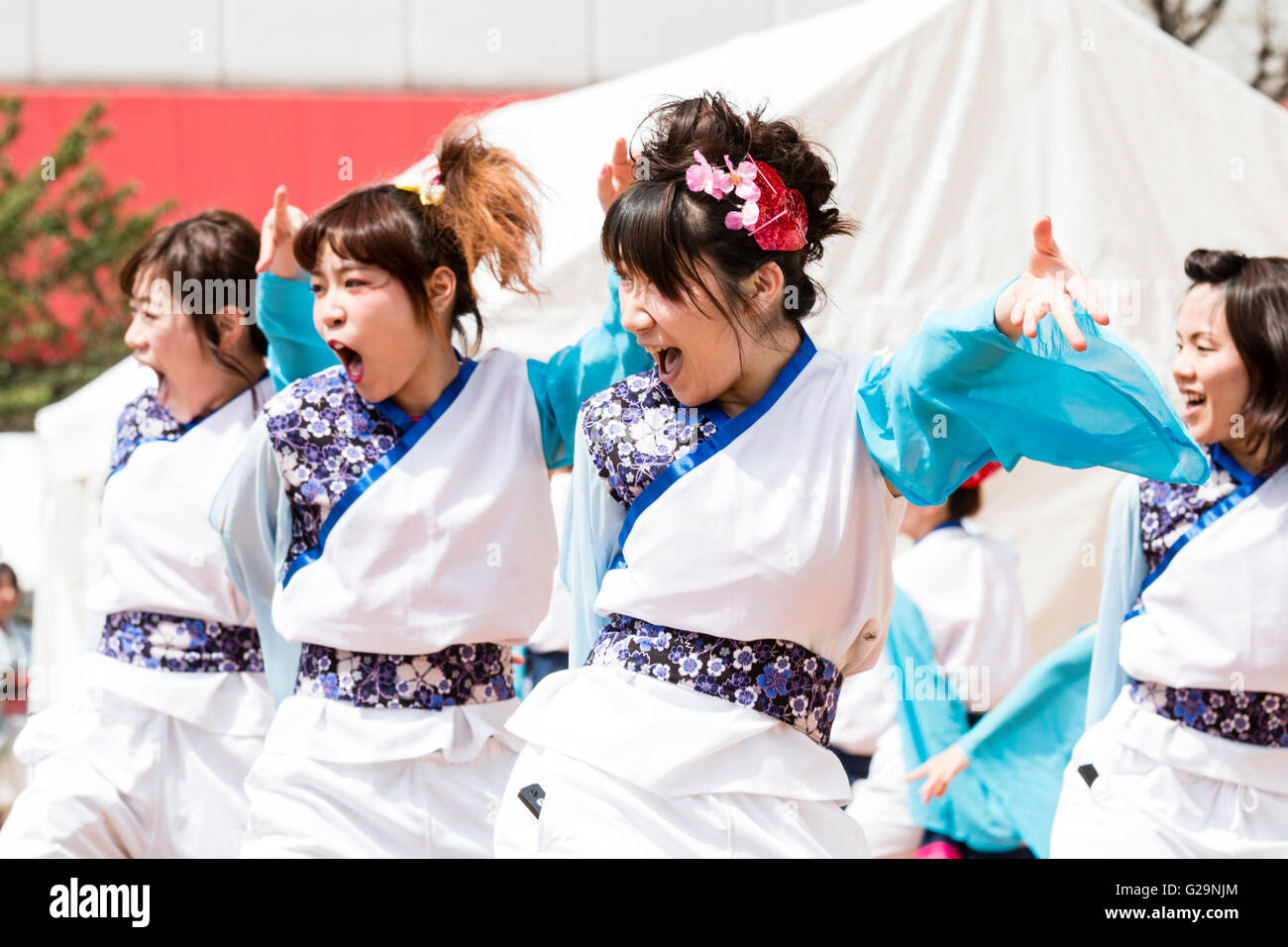 Women team in white and turquoise happi jackets, dancing outdoors, in rows, during the Hinokuni Yosakoi dance festival in Kumamoto, Japan. Stock Photo