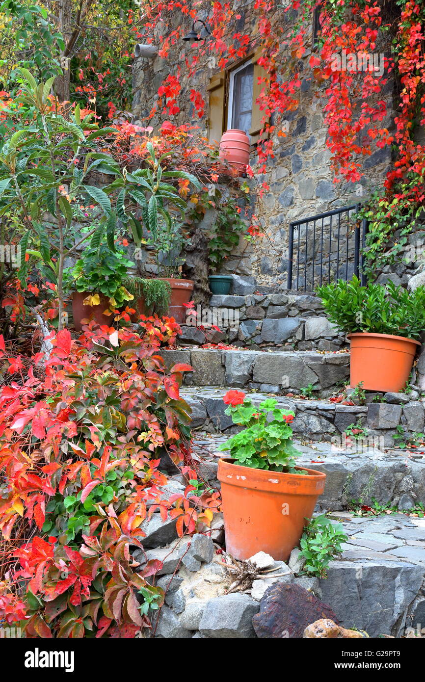 Autumn colours, the entrance of a traditional house in the village of Tres Elies in Troodos Mountains, Cyprus Stock Photo