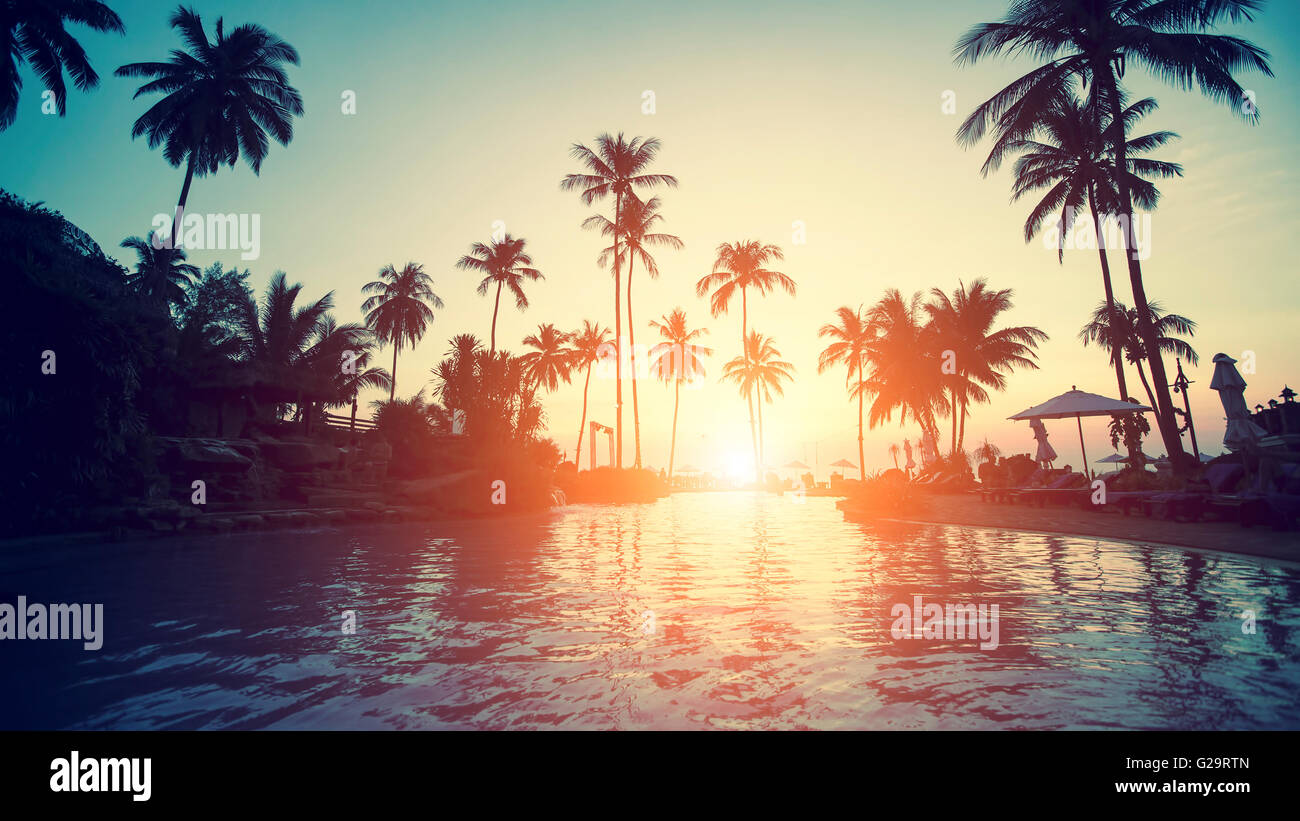 Amazing sunset on a tropical coast with palm trees Stock Photo - Alamy