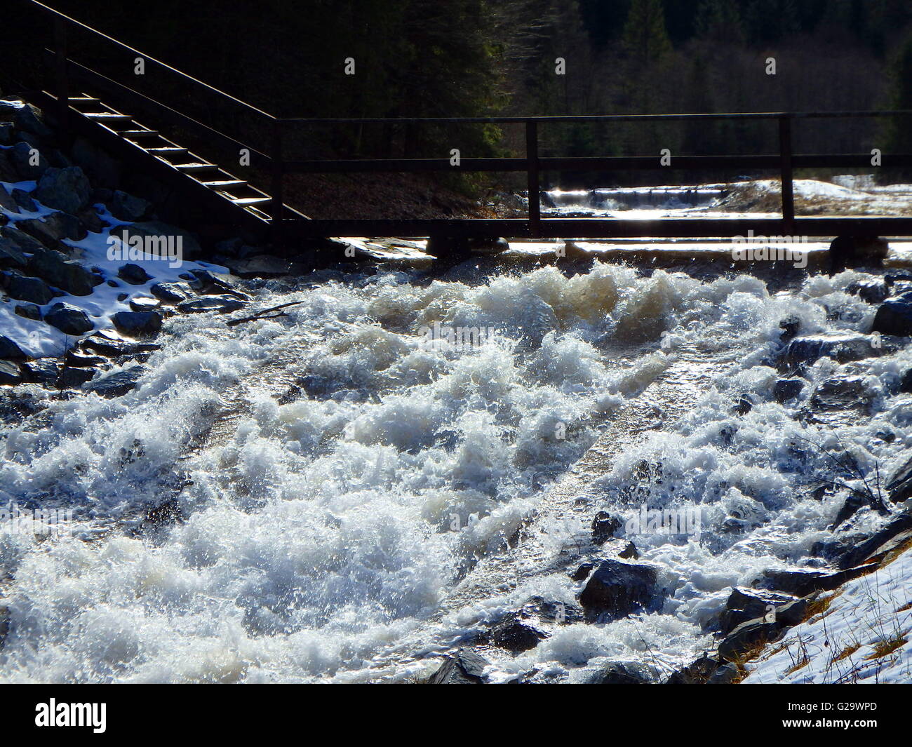 salmonleap in the spring, melting snow Stock Photo Alamy