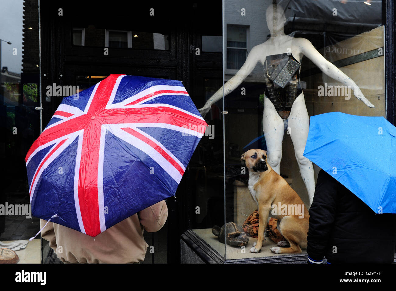 GREAT BRITAIN, London, dog in shop window in Lower Marsh Stock Photo