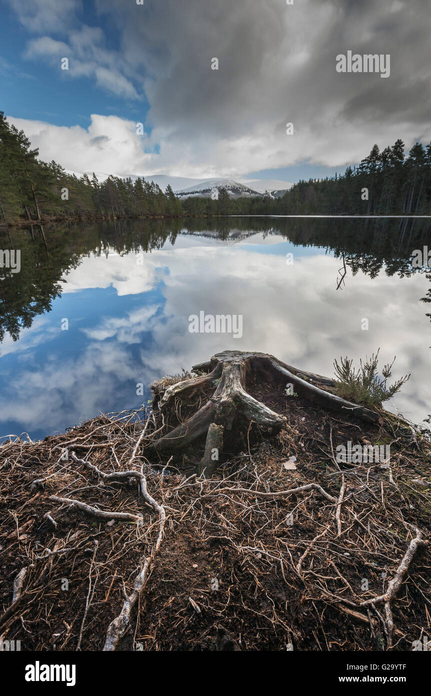 Uath Lochans in the Cairngorms National Park. Stock Photo