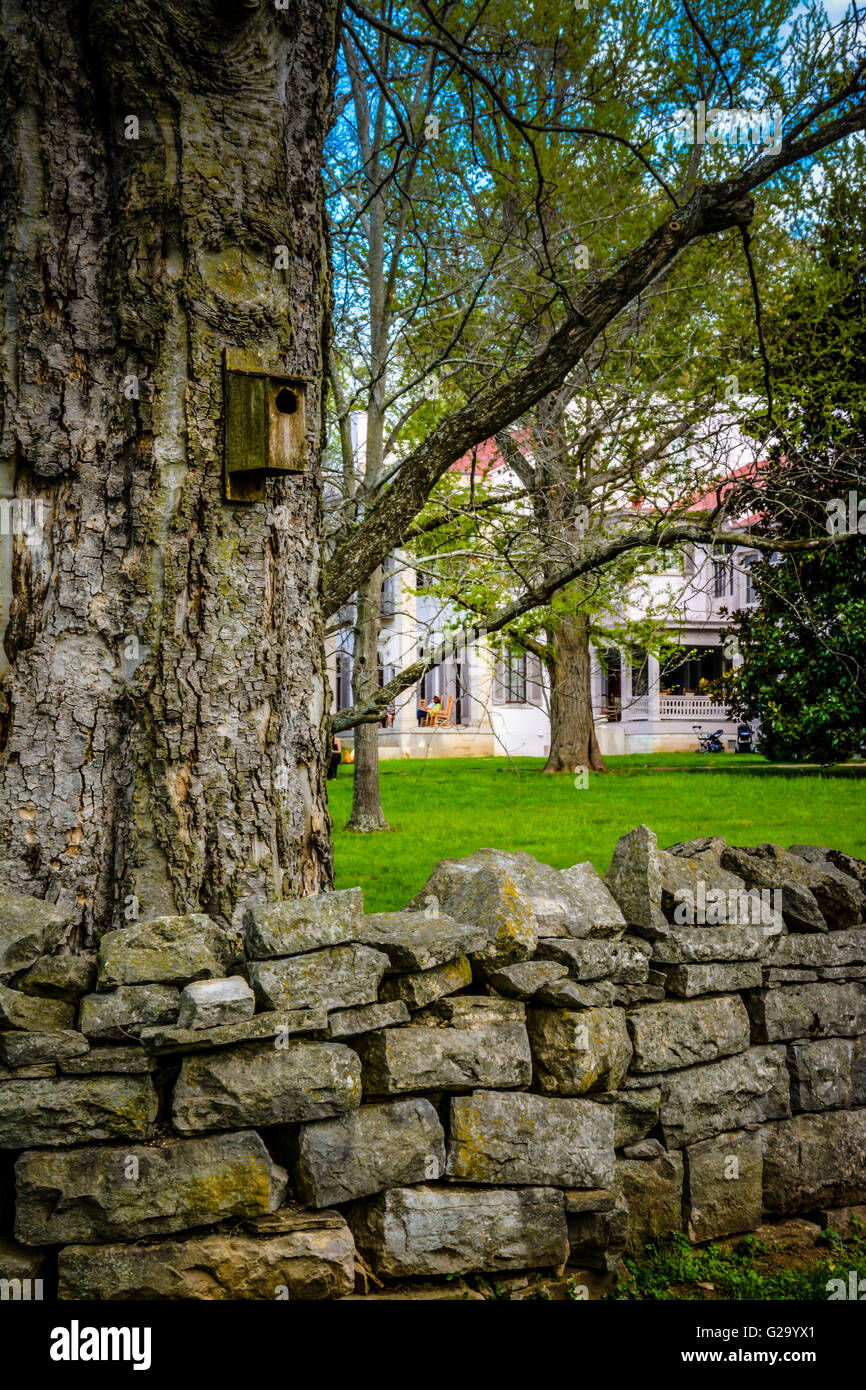 The Belle Meade Plantation Mansion is shrouded by trees and enclosed by a dry stone wall with vertical capstones in Nashville TN Stock Photo