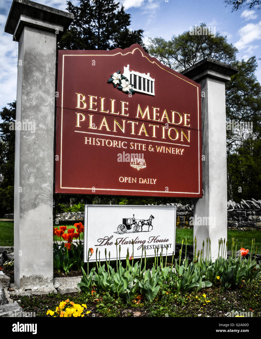 Belle Meade Historic Site & Winery - thoroughbred plantation and winery photo 2