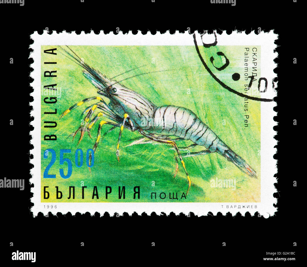 Postage stamp from Bulgaria depicting a common prawn  (Palaemon serratus) Stock Photo