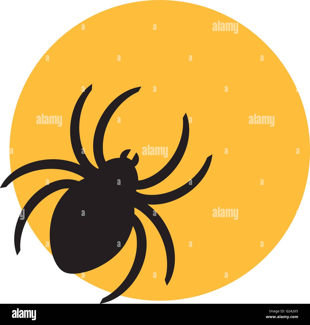 Spider in front of the moon Stock Vector Image & Art - Alamy