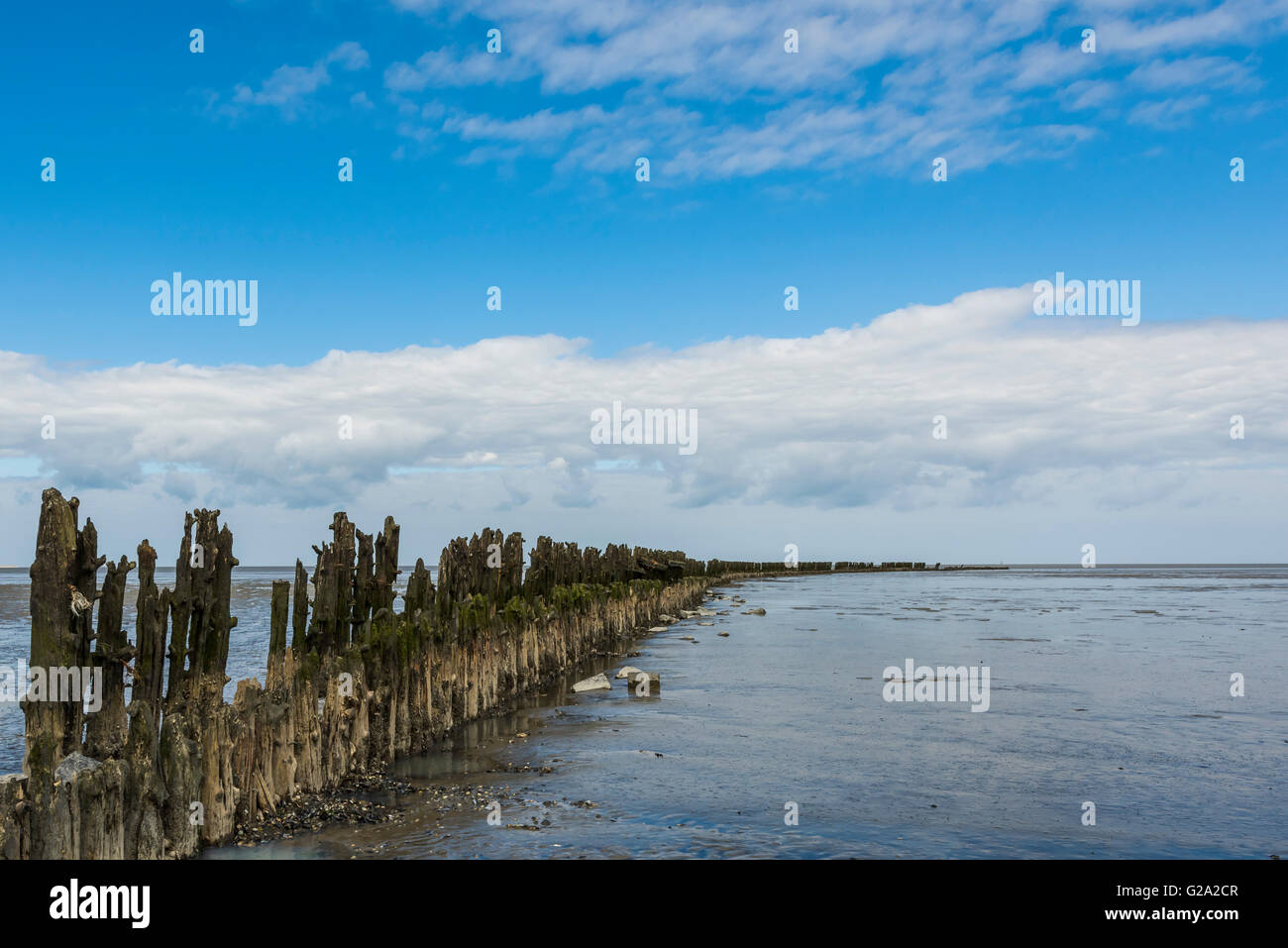 Coastline of the Waddensea at Friesland with mud flats and protection poles and dikes. Stock Photo