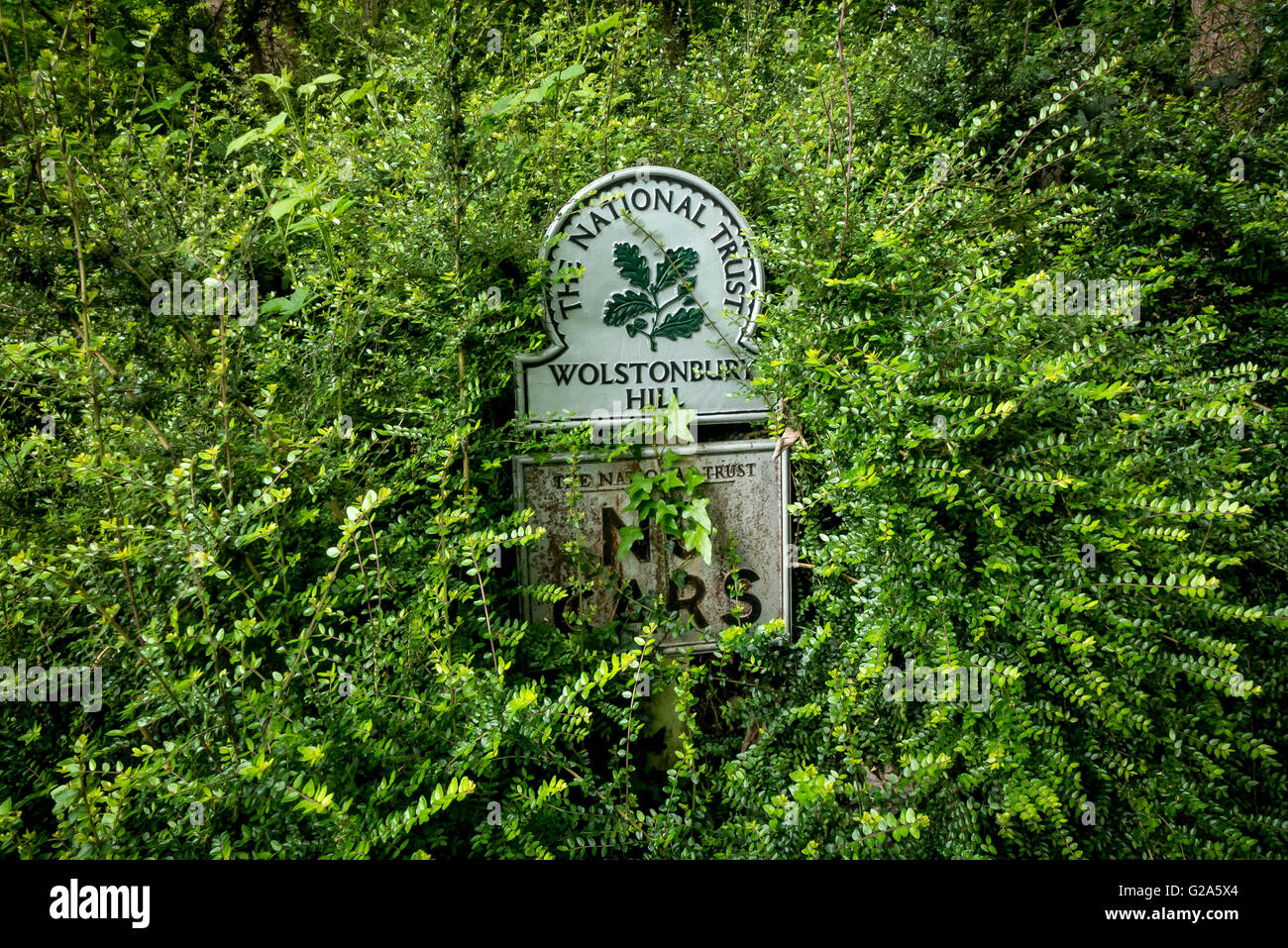 Wolstonbury Hill, East Sussex Stock Photo Alamy