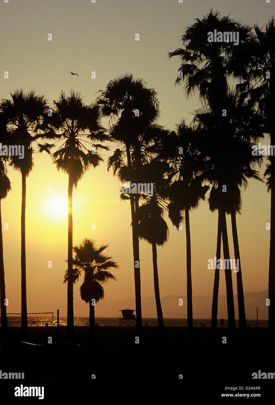 California beach at sunset. Stock Photo