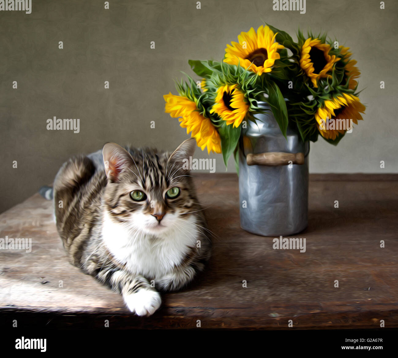 Still-Life illustration in oil painting style of cat and sunflowers Stock Photo