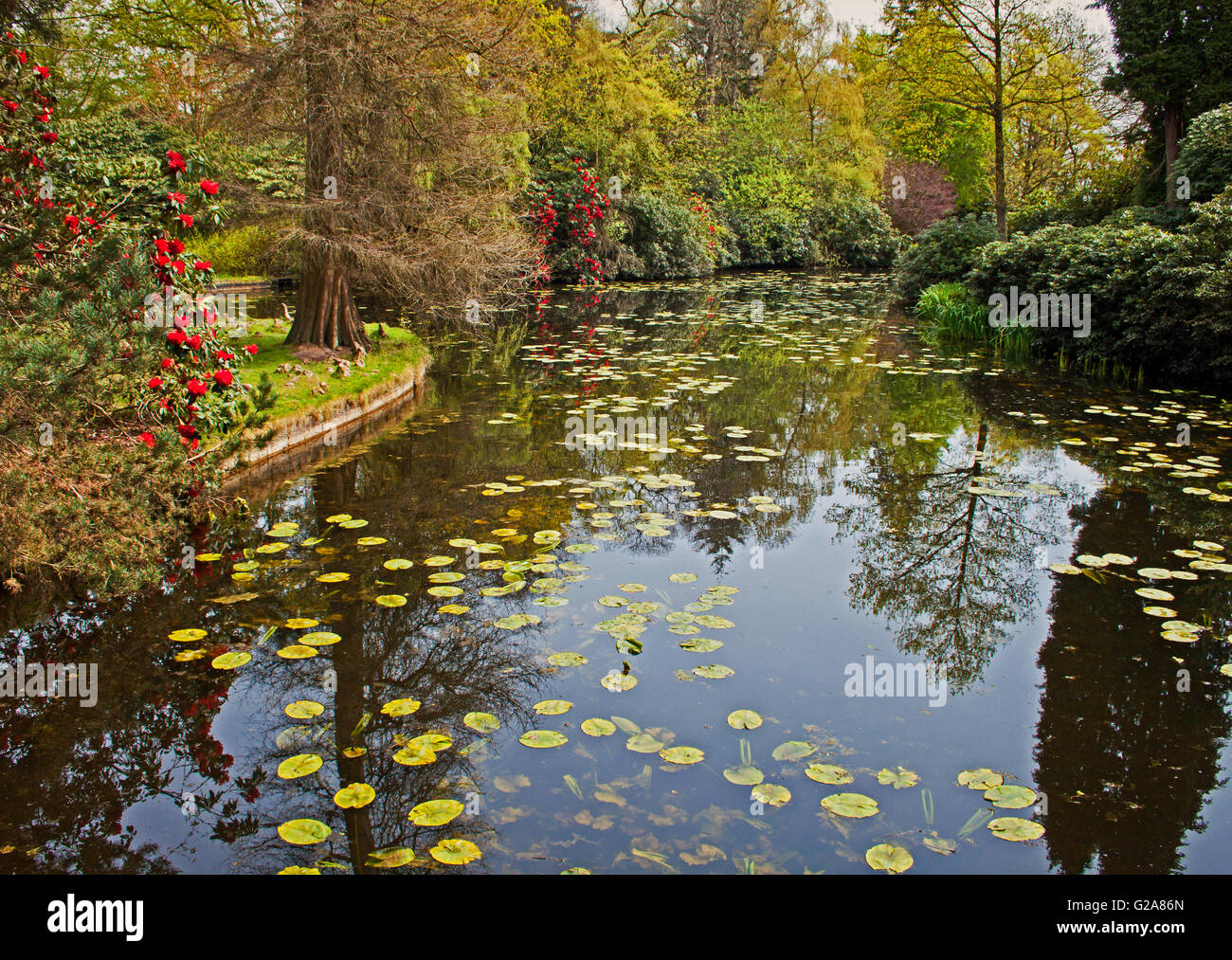 National trust gardens tatton park hires stock photography and images