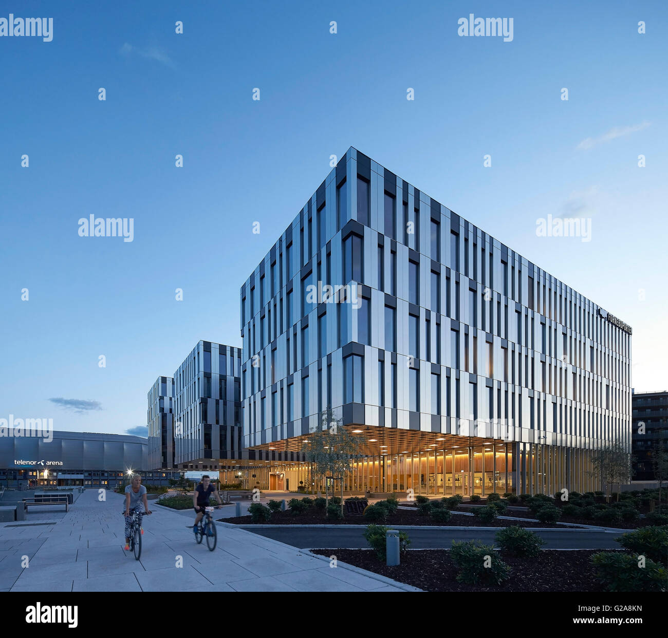 Modern Office Building Elevations