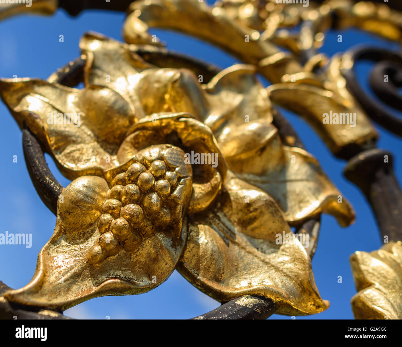 Gold detail of grapes on an ornate cast iron gate. Stock Photo