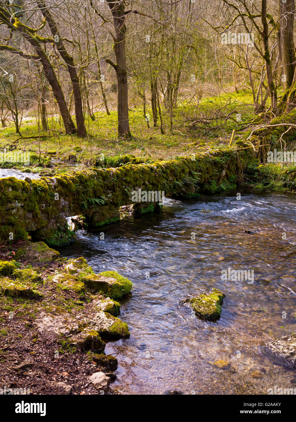 The River Bradford at Youlgreave or Youlgrave in the Peak District National Park Derbyshire Dales England UK Stock Photo