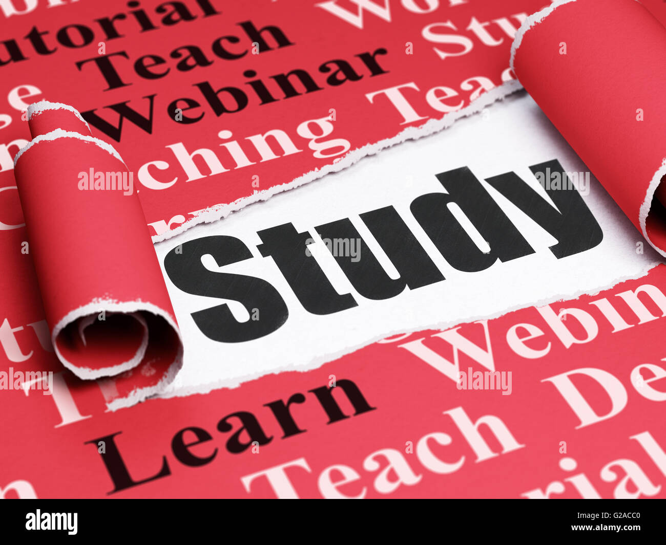 Education concept black text Study under the piece of torn paper Stock