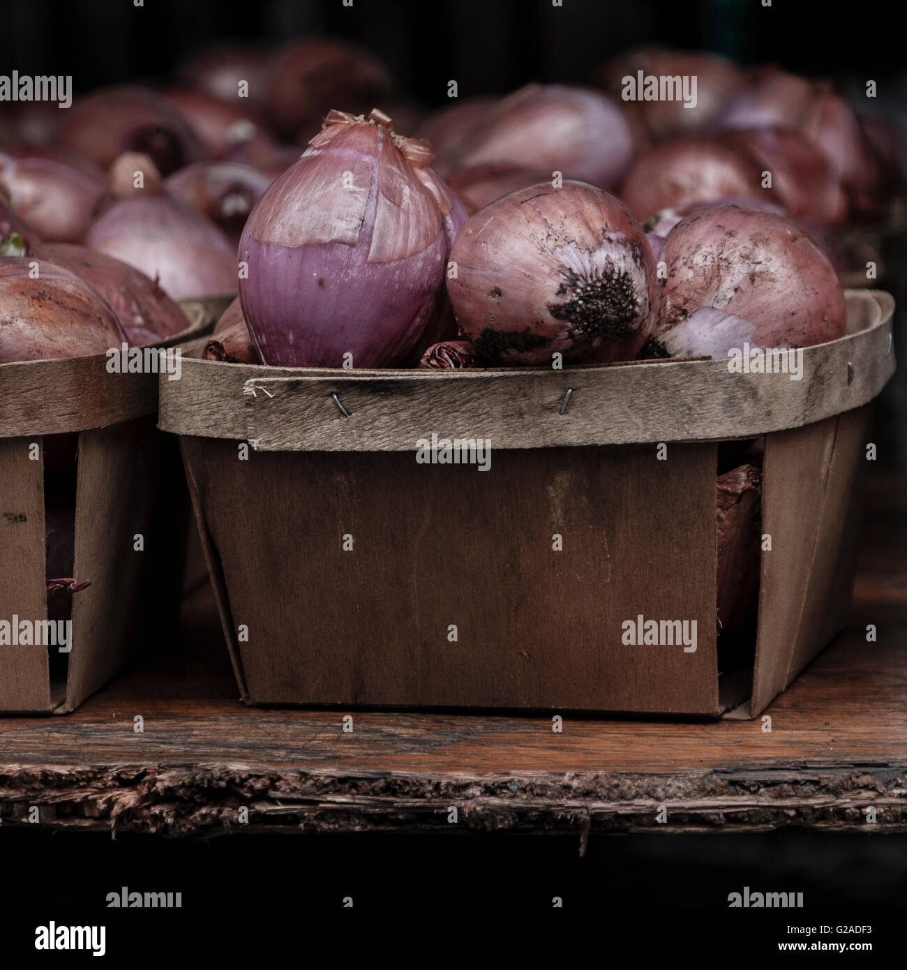 Red onions in containers Stock Photo Alamy
