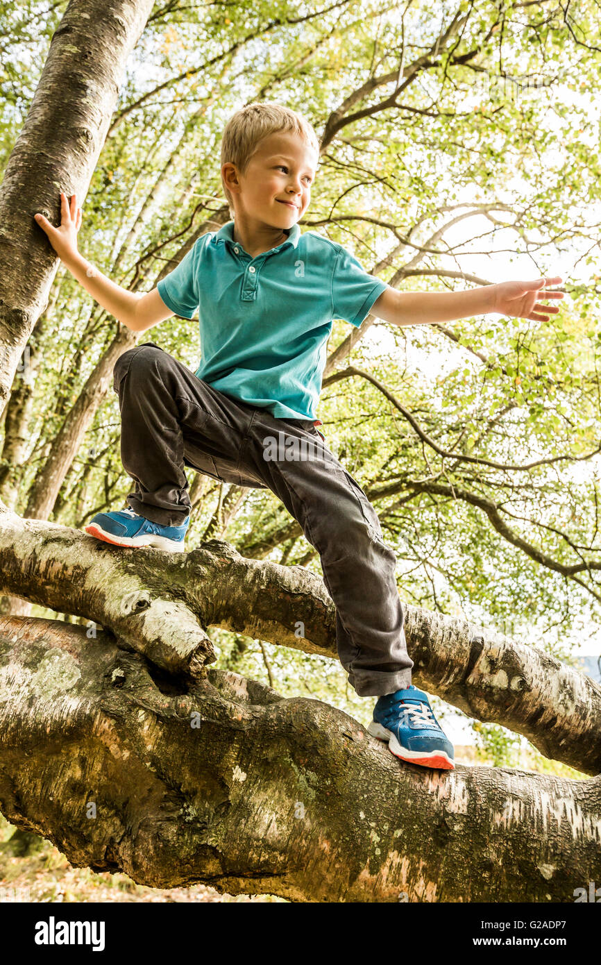 Boy (8-9) climbing branch Stock Photo