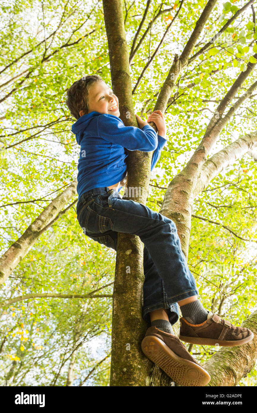 Boy (6-7) climbing tree Stock Photo