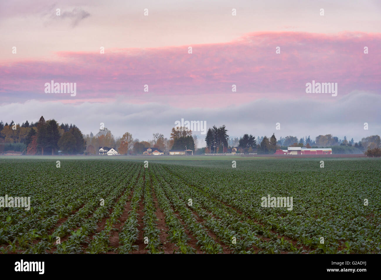 Field green house hires stock photography and images Alamy
