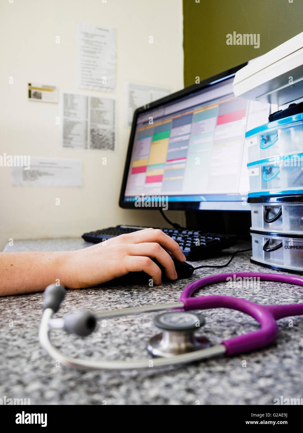 Vet using computer Stock Photo Alamy
