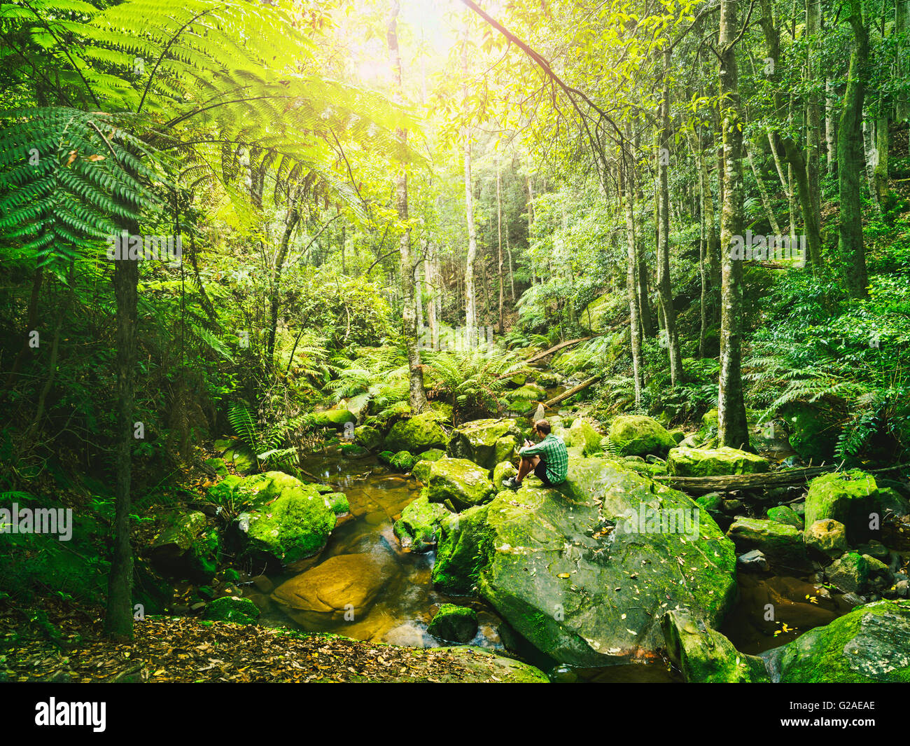 Mid adult man sitting on rock in green forest Stock Photo