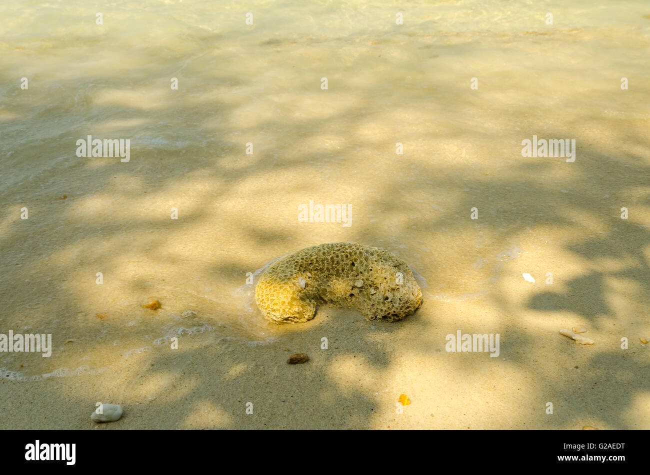Stones on beach and sea water Stock Photo - Alamy