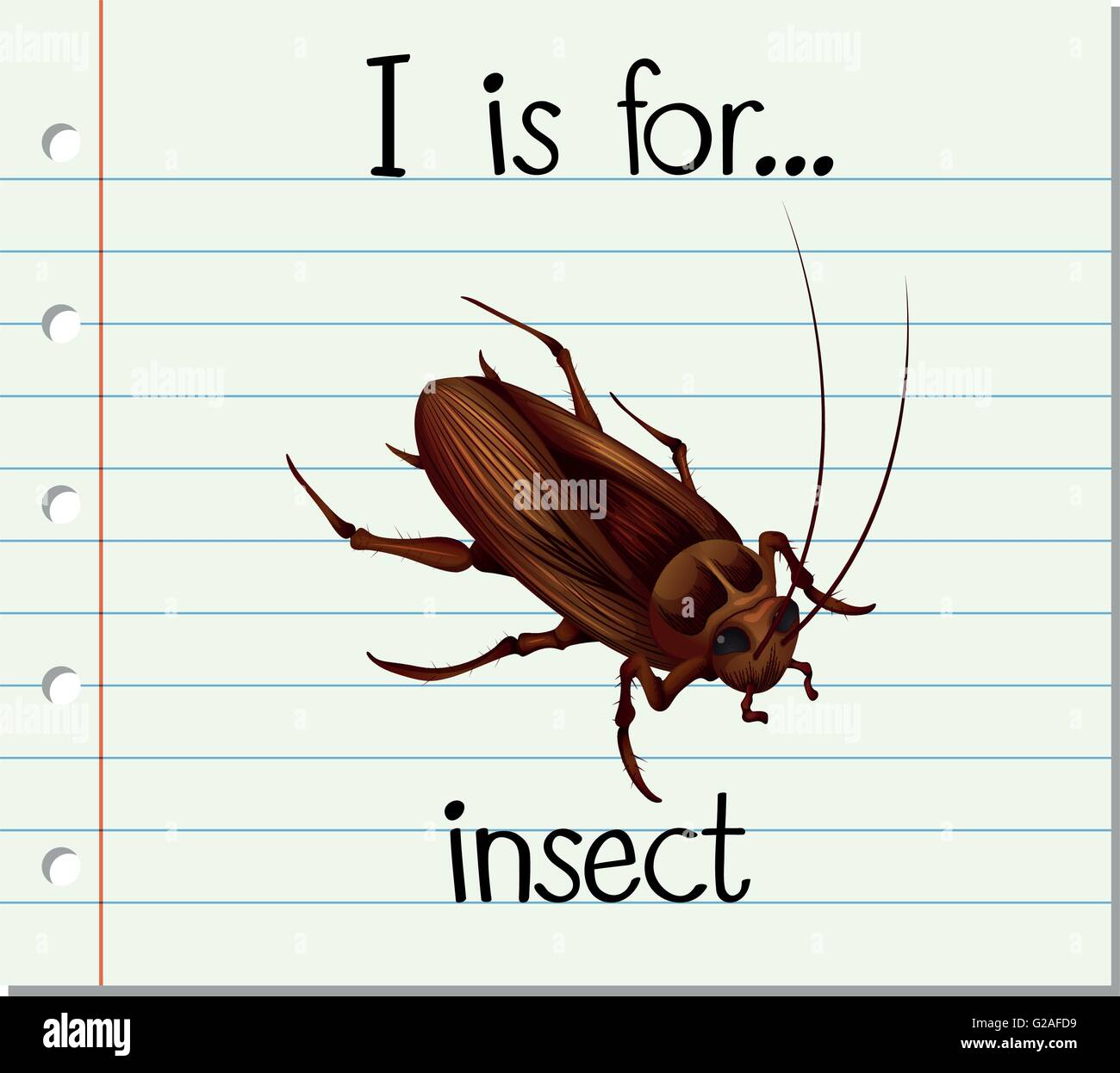 Flashcard letter I is for insect illustration Stock Vector Image & Art ...