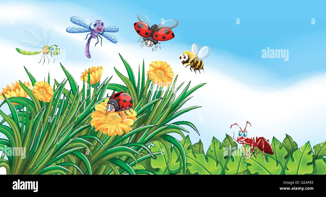 Insects living in the garden illustration Stock Vector Image & Art Alamy