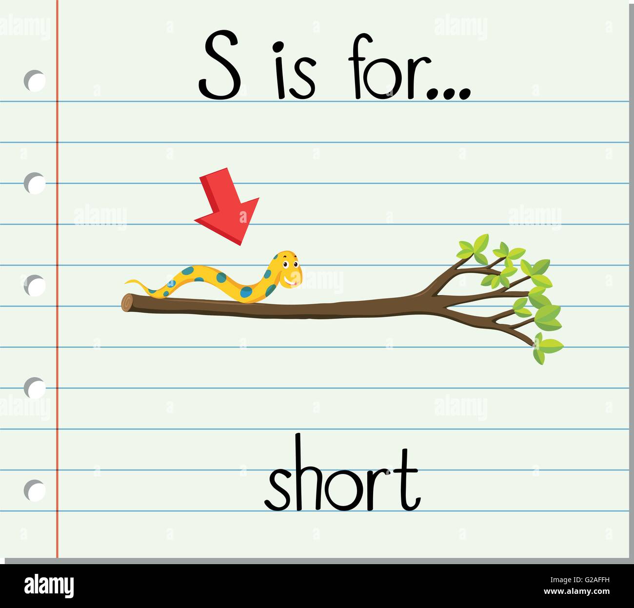 Flashcard letter S is for short illustration Stock Vector