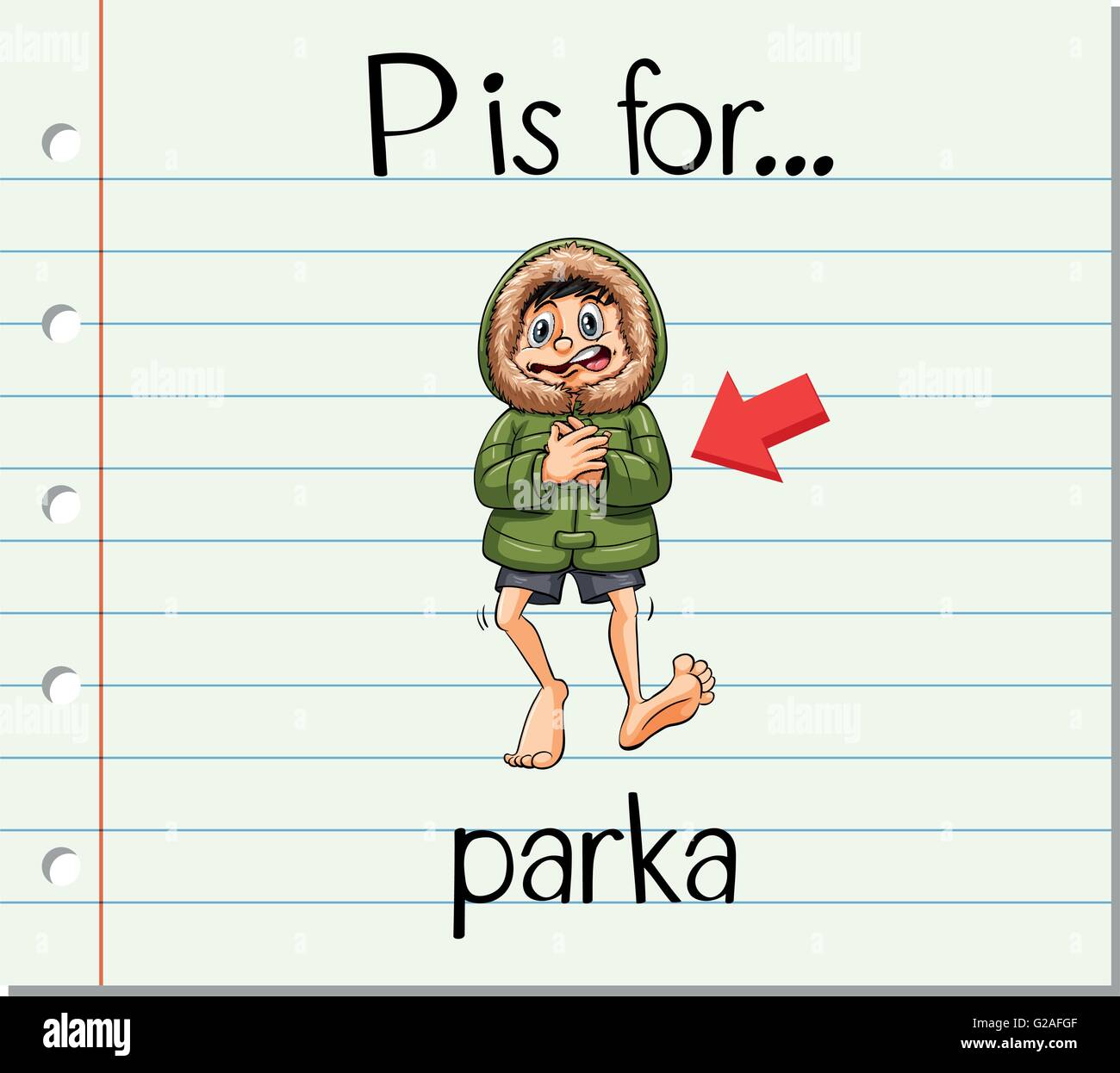 Flashcard letter P is for parka illustration Stock Vector Image & Art ...