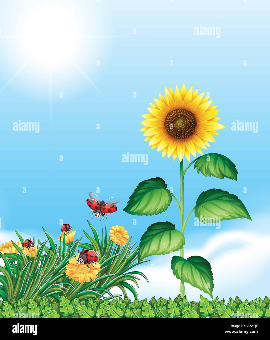 Ladybugs living in the garden illustration Stock Vector Image & Art - Alamy