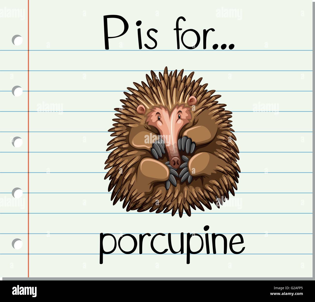 Flashcard letter P is for porcupine illustration Stock Vector Image ...