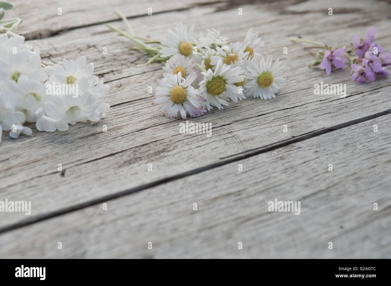 Small bunches of flowers on wooden background copy space textured surface Stock Photo