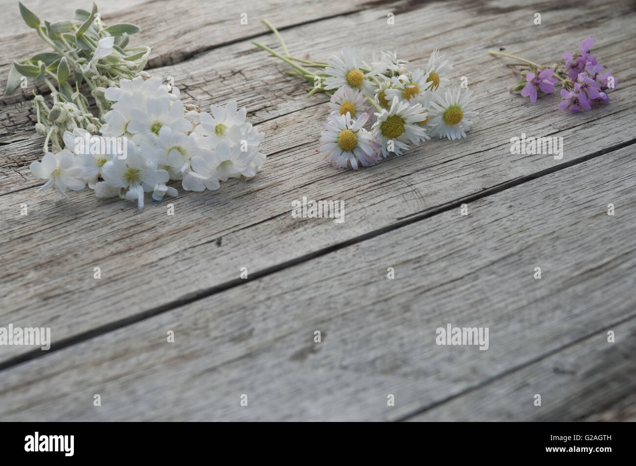 Small bunches of flowers on wooden background copy space textured surface Stock Photo