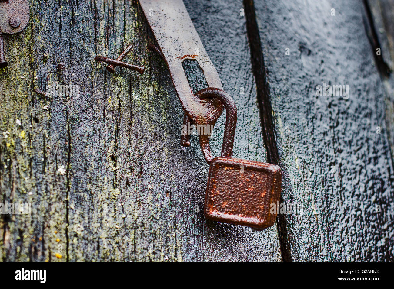 Rusty Padlock Open, on old wooden door Stock Photo - Alamy
