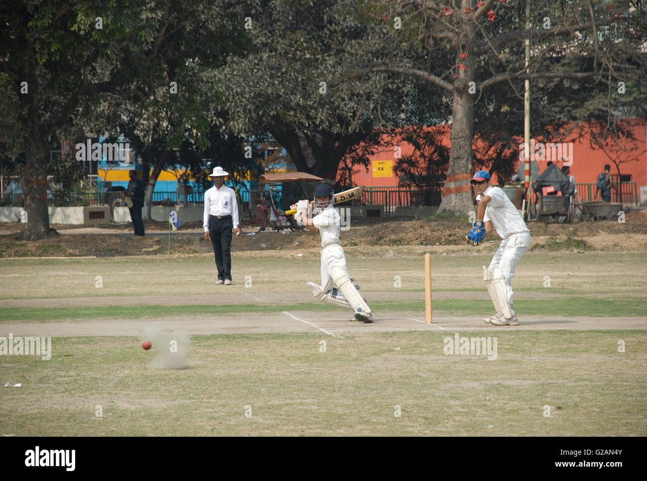 Cricket playing in Maidan area, near Eden Gardens stadium, Kolkata