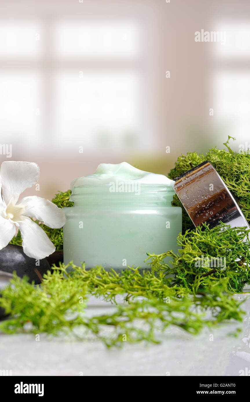 Open Cream Jar Algae. Flowers, Black Stones And Seaweed Decoration. Windows  Background. Front View Stock Photo, Picture and Royalty Free Image. Image  40645983.