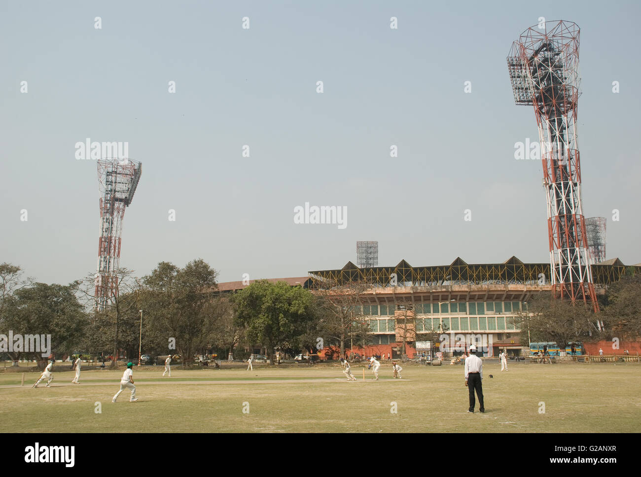 Cricket playing in Maidan area, near Eden Gardens stadium, Kolkata