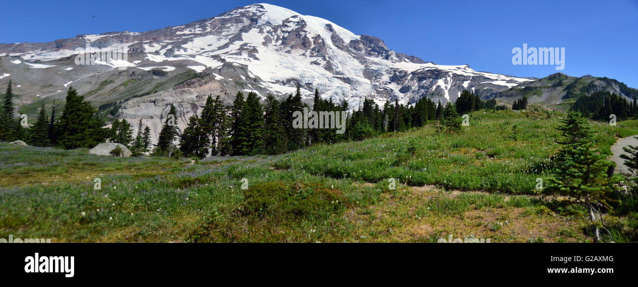 Paradise point panorama view in Mt Rainier National Park,WA,USA Stock Photo