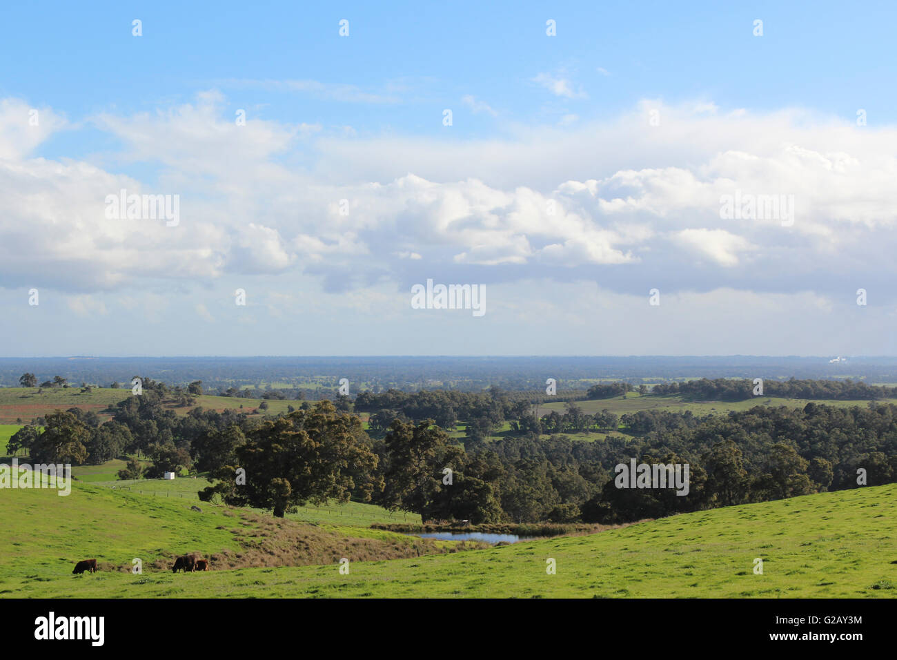 The picturesque rural and farming area in the Ferguson Valley near Dardanup South Western