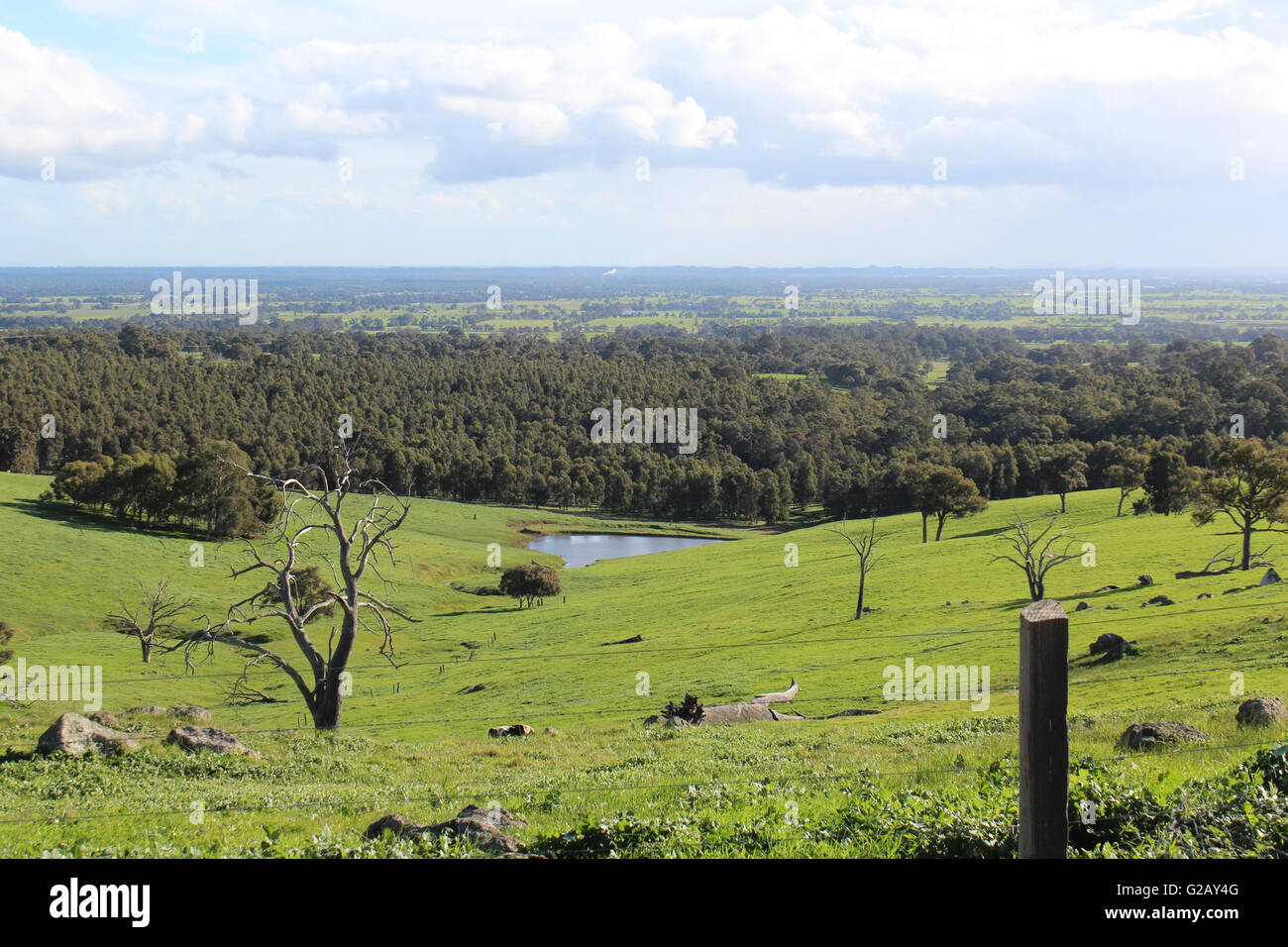 The picturesque rural and farming area in the Ferguson Valley near Dardanup South Western