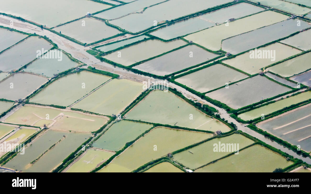 Aerial view of fishery along the coast of East China Sea, Xiamen, Fujian Province, China Stock Photo