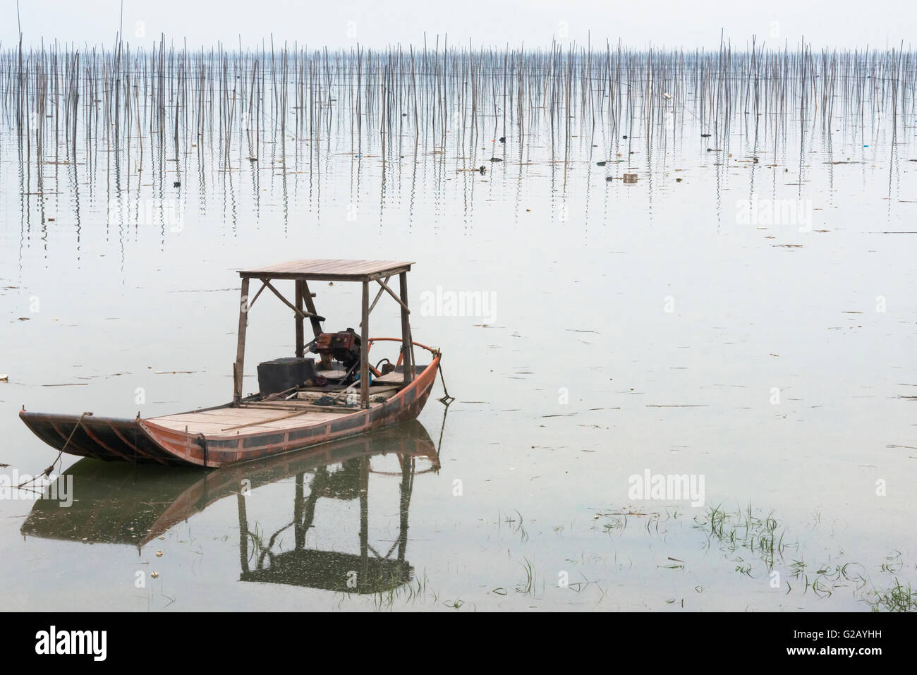 Fishing boat going through the bamboo poles of seaweed farm, coast of ...