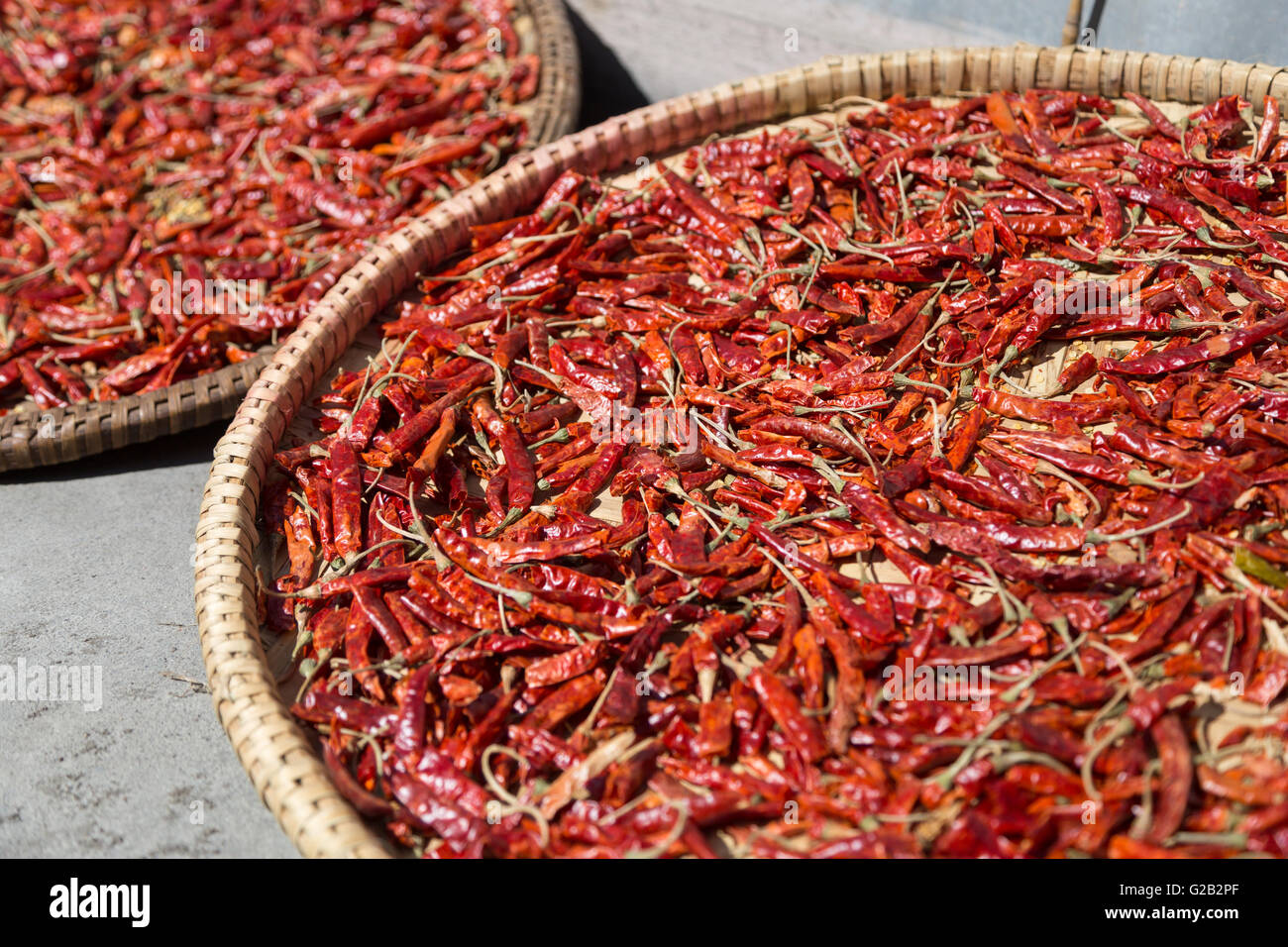 Chili on plates drying in the sun on the Annapurna Circuit in Nepal Stock Photo