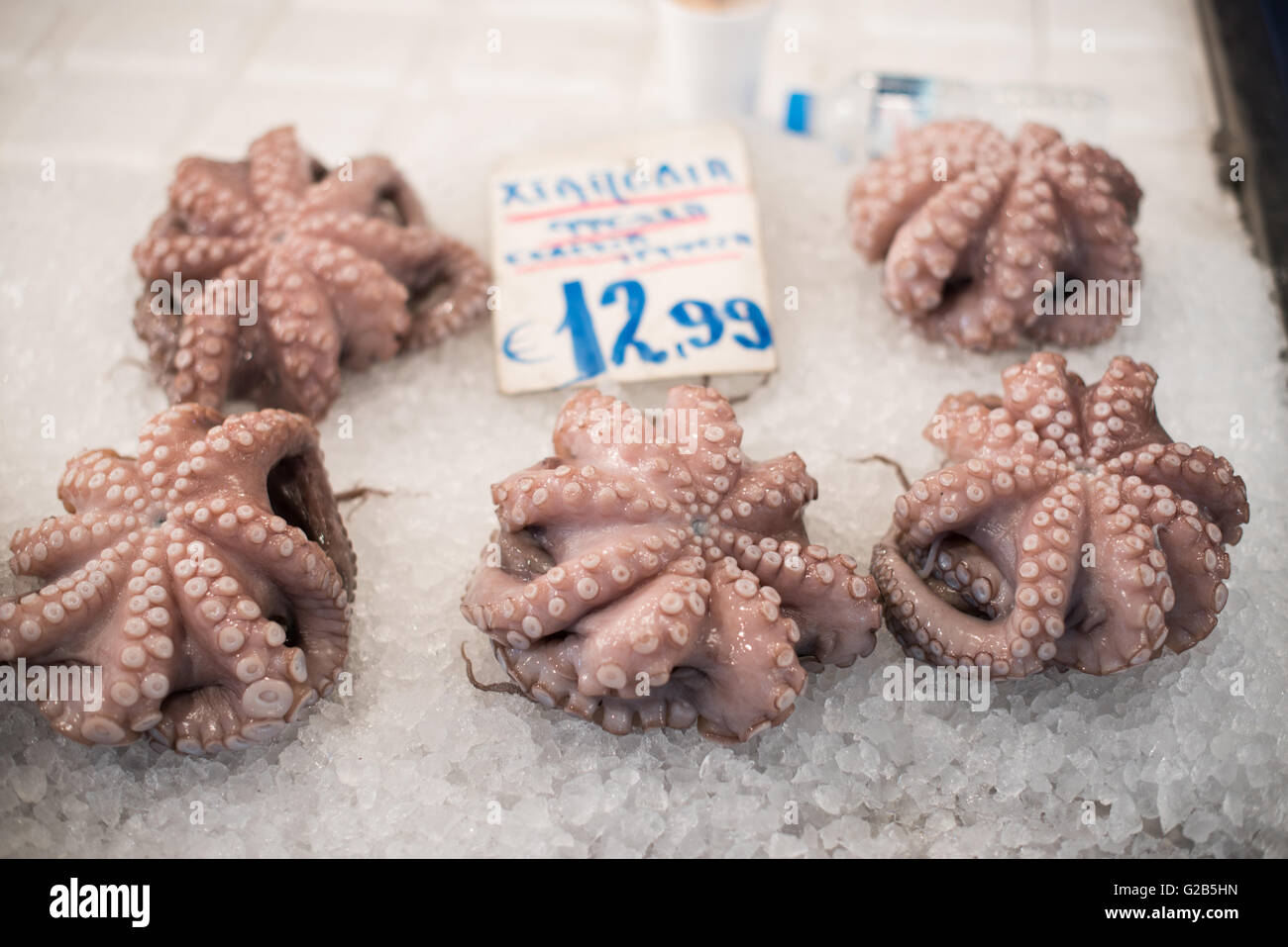 Fresh Octopus Dimotiki Agora Market Athens // ATHENS, Greece — Fresh squid and octopus for sale at the Dimotiki Agora, also known as Varvakios Agora, in downtown Athens. The market is the largest retail fresh food market in the city, featuring rows of seafood stalls offering a variety of Mediterranean catches. The Dimotiki Agora is a popular destination for locals and tourists, showcasing traditional Greek seafood and culinary culture. Stock Photo